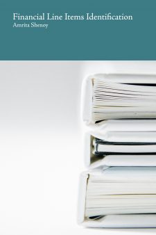 Financial Line Items Identification book cover